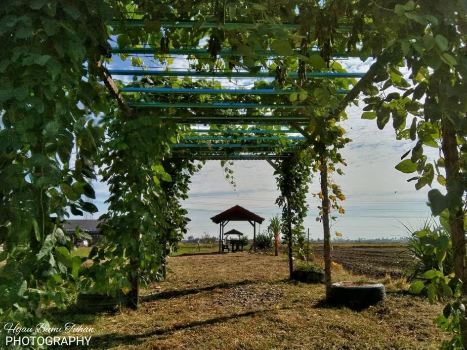 Tamteh Homestay Ayer Hitam Экстерьер фото